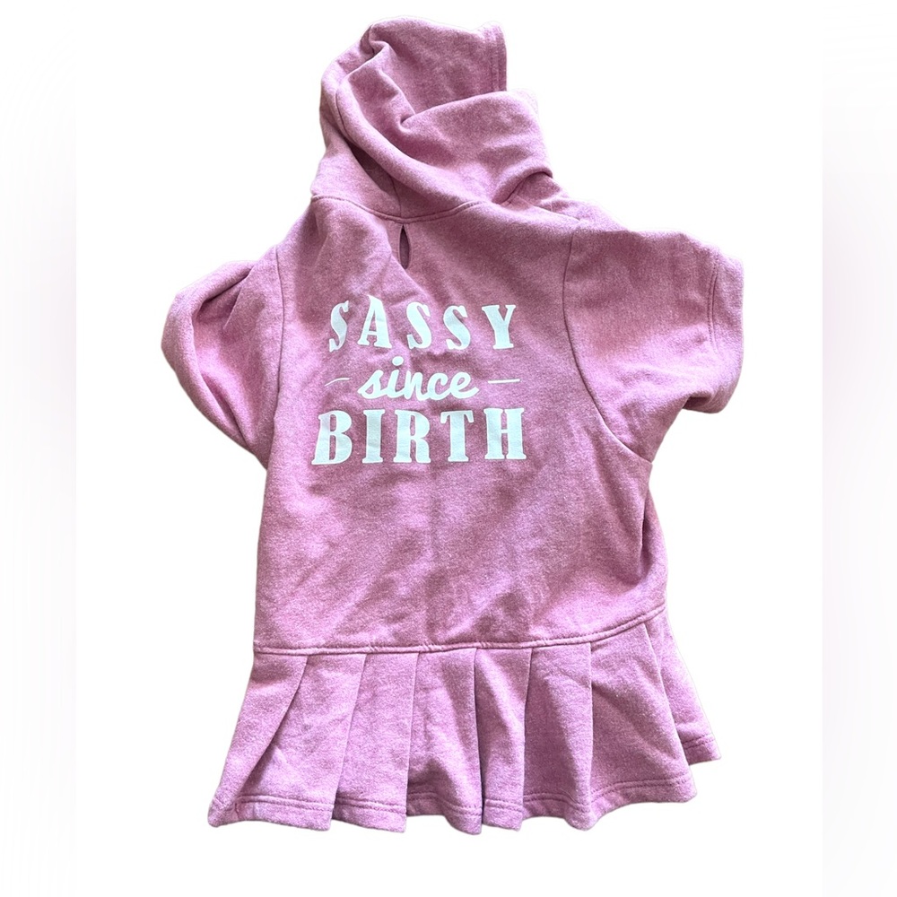 “Sassy” Dog sweatshirt, large